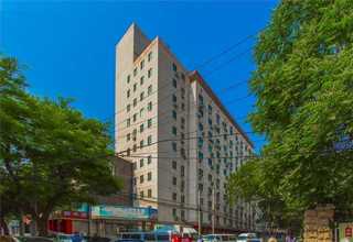 杨浦区绿化货物运输厂家批发价