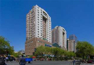 北京梅花管价格